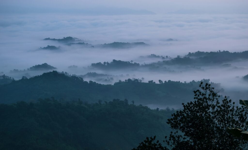 Foggy morning forest view at Sajek Valley, Rangamati, Bangladesh