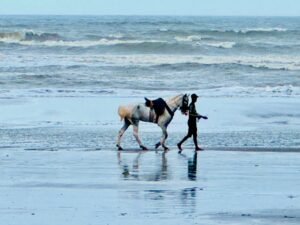 Person walking a horse on the wet sand at Kolatoli Beach, Cox's Bazar, Bangladesh