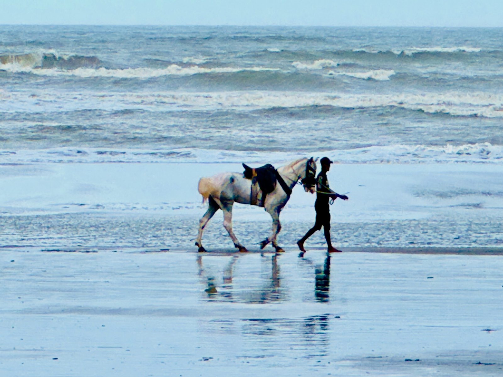 Person walking a horse on the wet sand at Kolatoli Beach, Cox's Bazar, Bangladesh